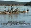 Video still